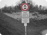 Schild